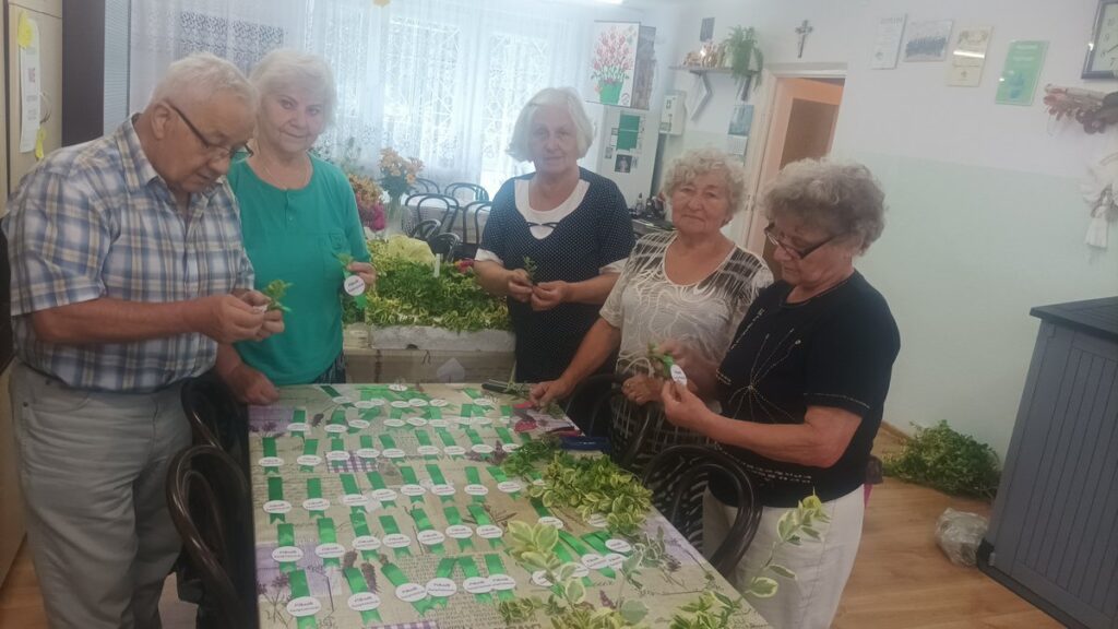 Seniorzy w Domu dziennego Pobytu Senior przygotowują dekoracje z kwiatów na piknik